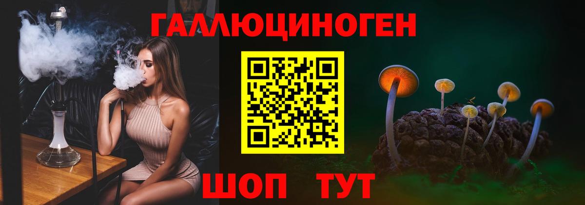 Псилоцибиновые грибы GOLDEN TEACHER  Галлюциногенные грибы Psilocybine cubensis  Кисловодск  Вход с VPN 
